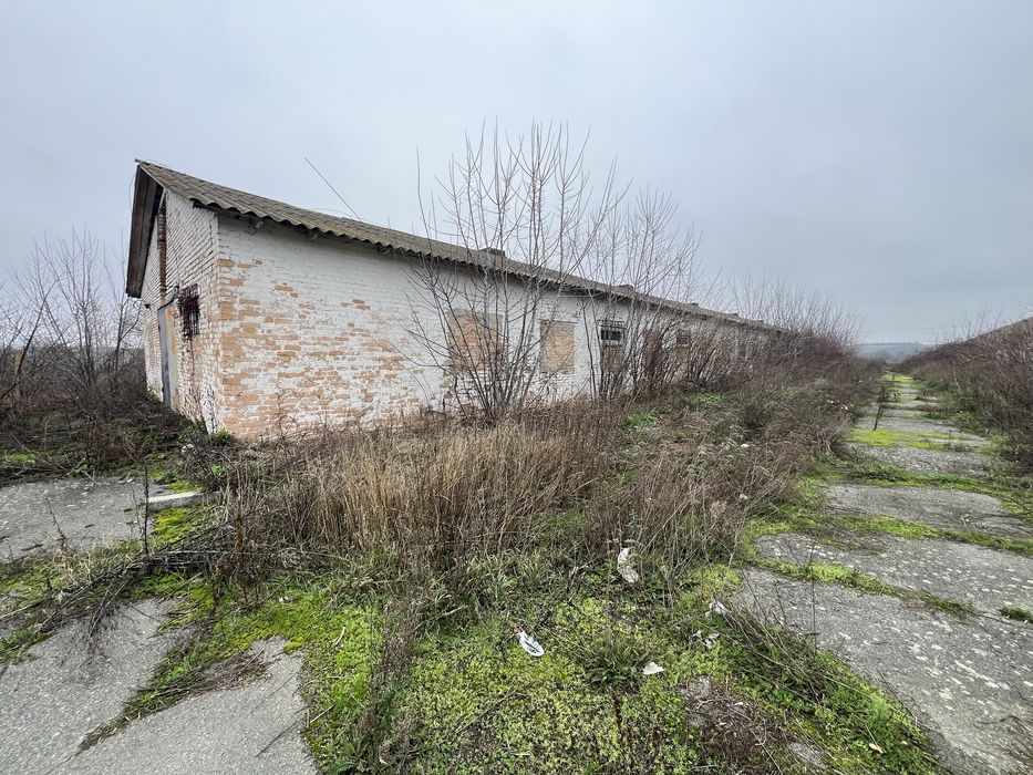 Нежитлові приміщення, комерційного призначення, ферми