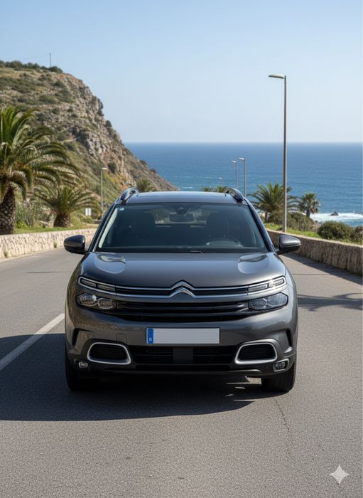 Motorista particular