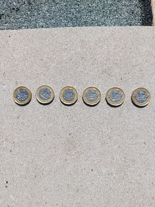 Moedas One pound