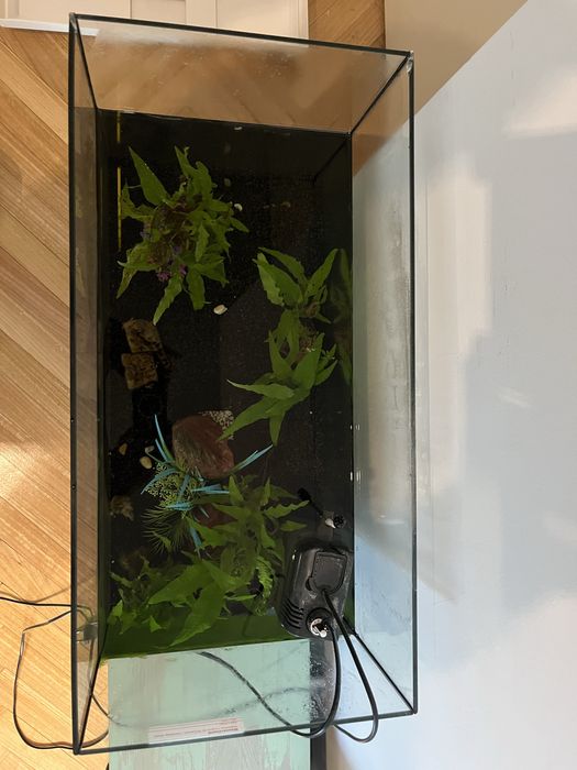 Aquário Juwel PrimoLux 60