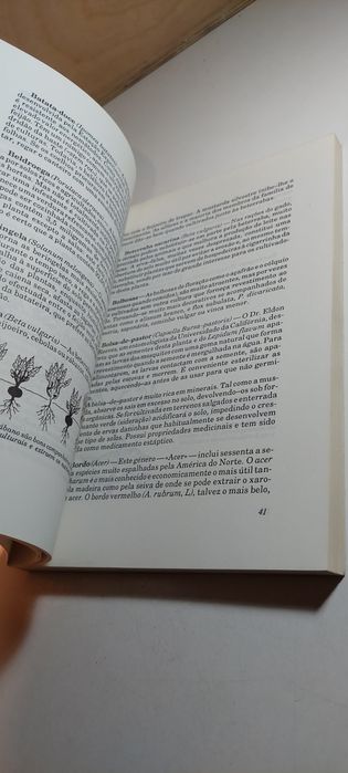 As Cenouras amam os Tomates - Louise Riotte