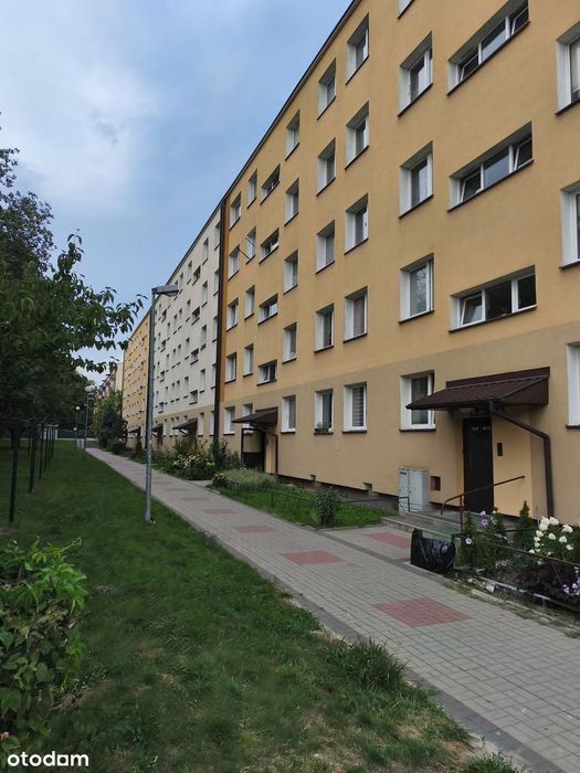 Przytulne mieszkanie w Radomiu