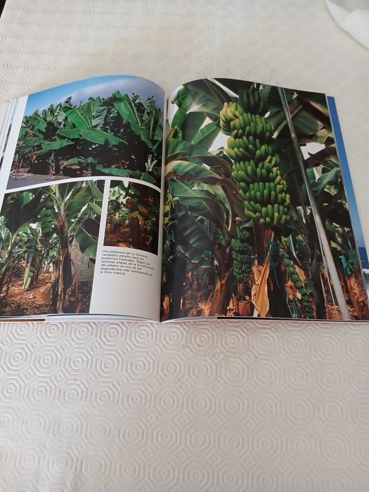 Livros Sobre Tenerife