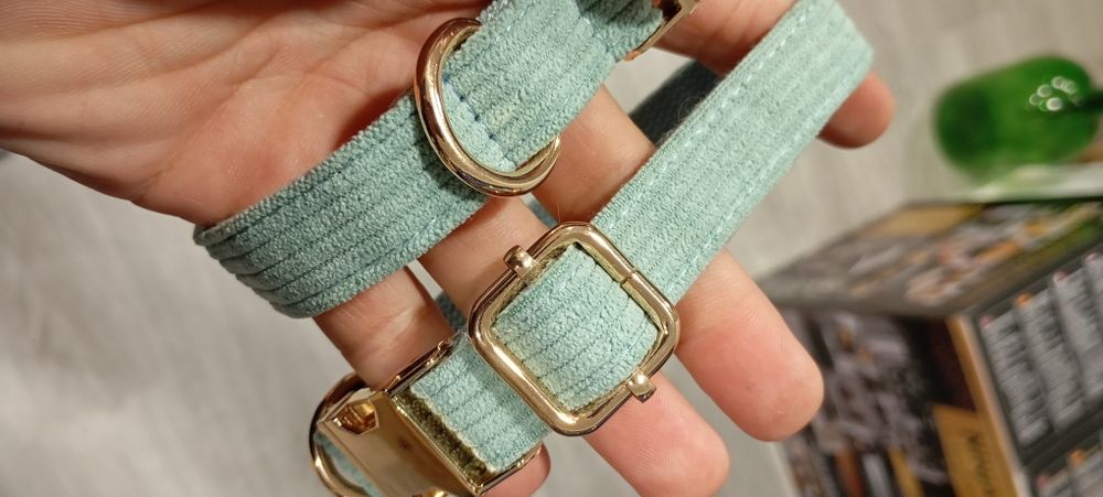 Duas Coleiras para cão