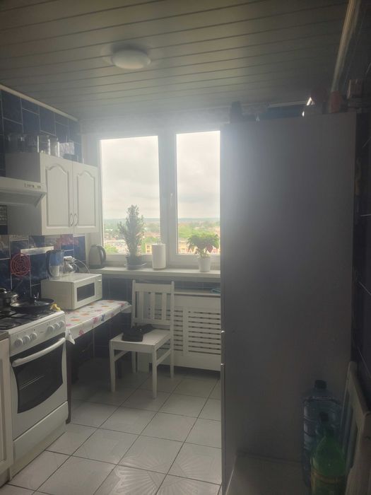 Mieszkanie dwu pokojowe do wynajęcia