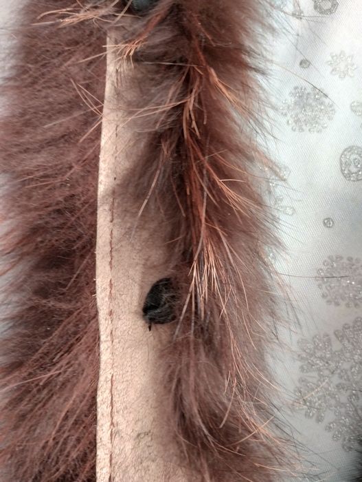 Futro naturalne - obszycie kaptura - jenot