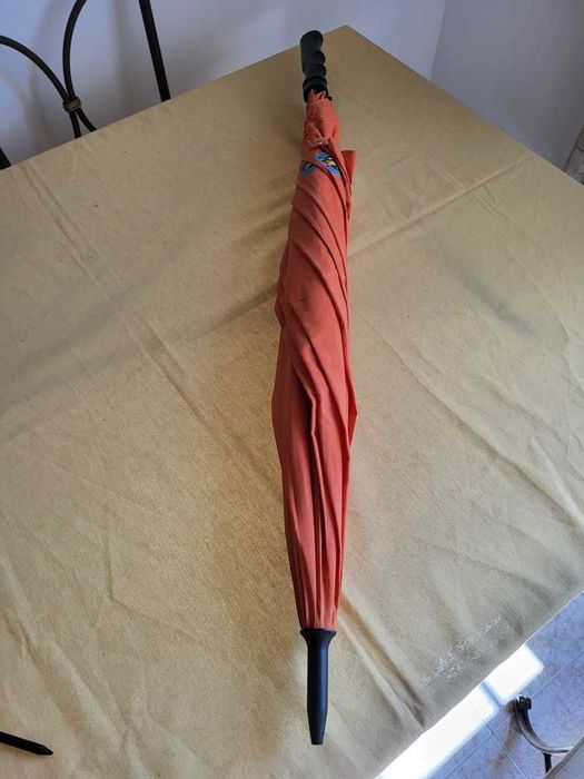 Guarda Chuva Grande Renault Clio