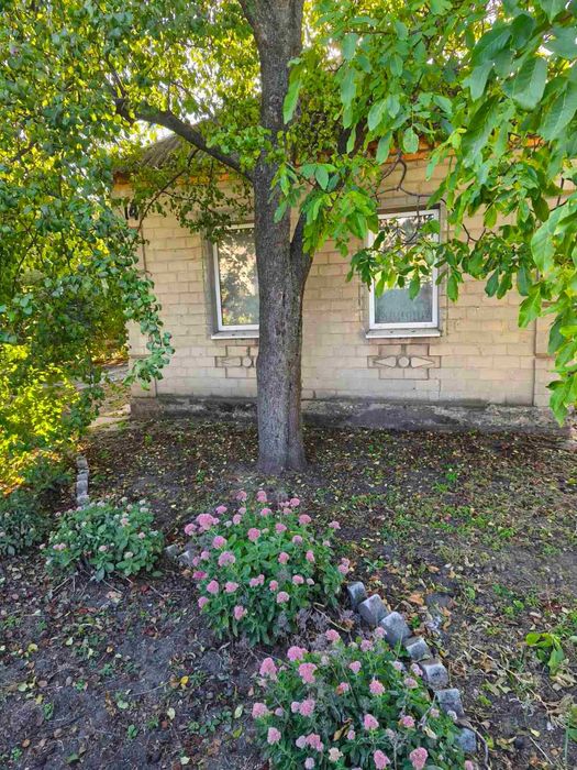 Продам будинок у центрі Яворницького для проживання та\або бізнесу!