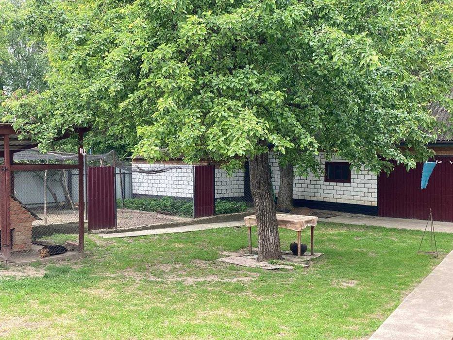 (3) Продам будинок с. Глибочок Гайсинський район 4698