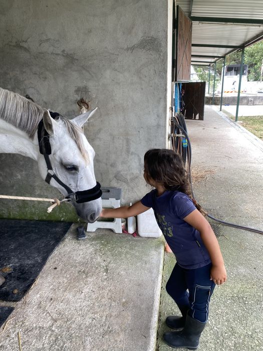 Batismos e passeios a cavalo