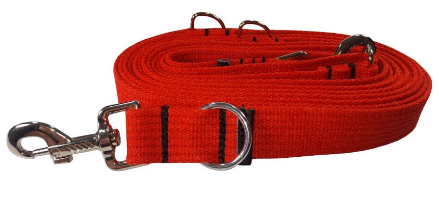 smycz przepinana sunka exclusive 3m rozm.l dla psa