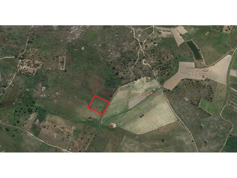 Land Plot
