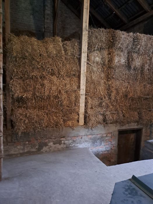 Sprzedam siano i słome w kostkach