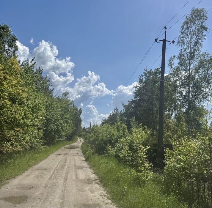 Земля у лісі під забудову Дзвінкове 3,25 га!