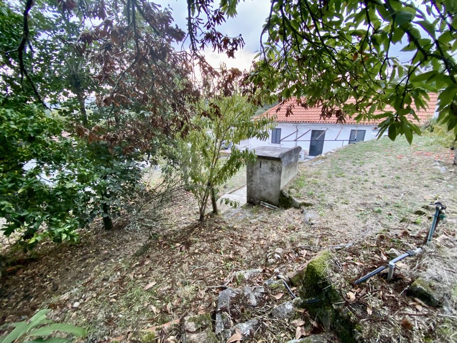 Quintinha c/ moradia T3 + 2 Ruínas