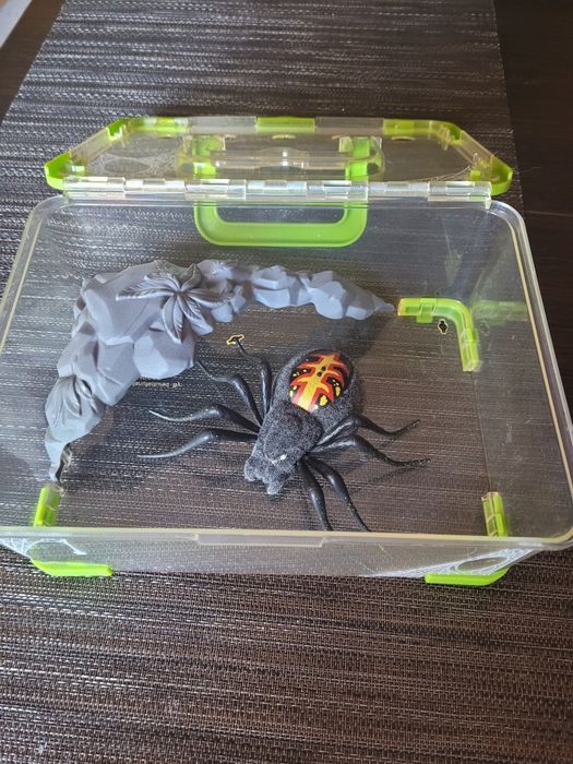 Zabawka Pająk  Tarantula w Terarium.