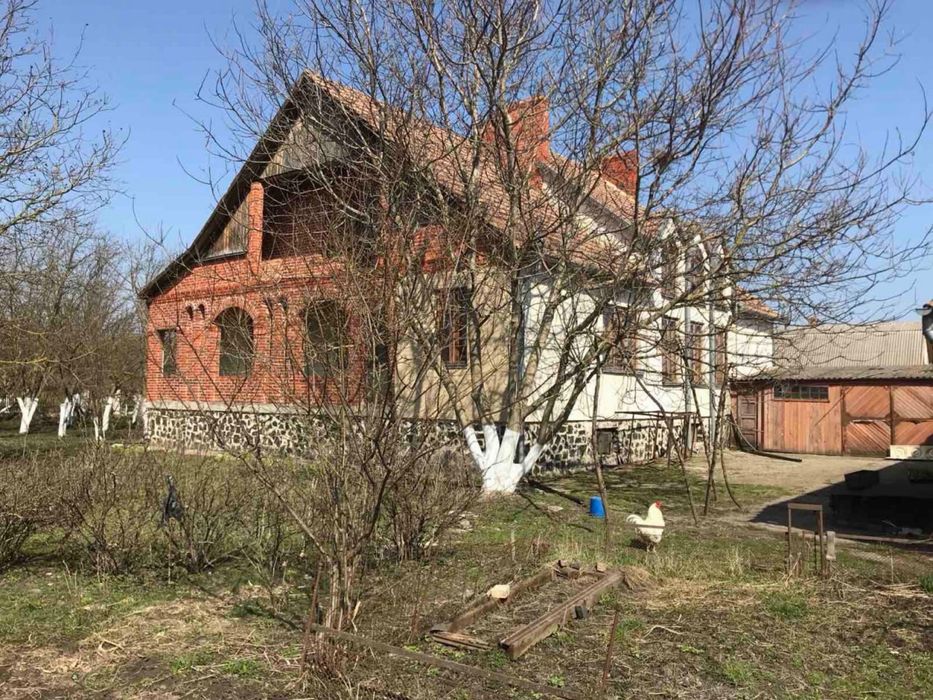 Продам великий будинок у затишному селі
