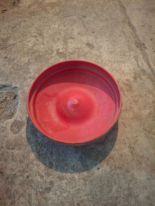 Plastic Plates442154286214041600