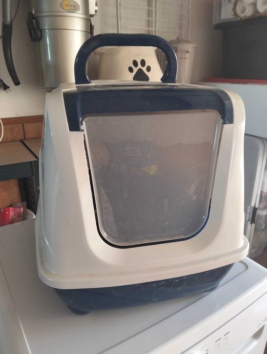 Caixa de areia para gatos