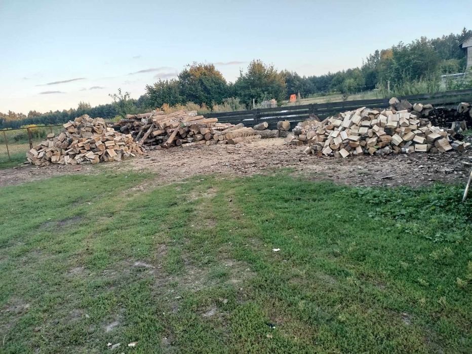 Brzoza opałowa 230zł