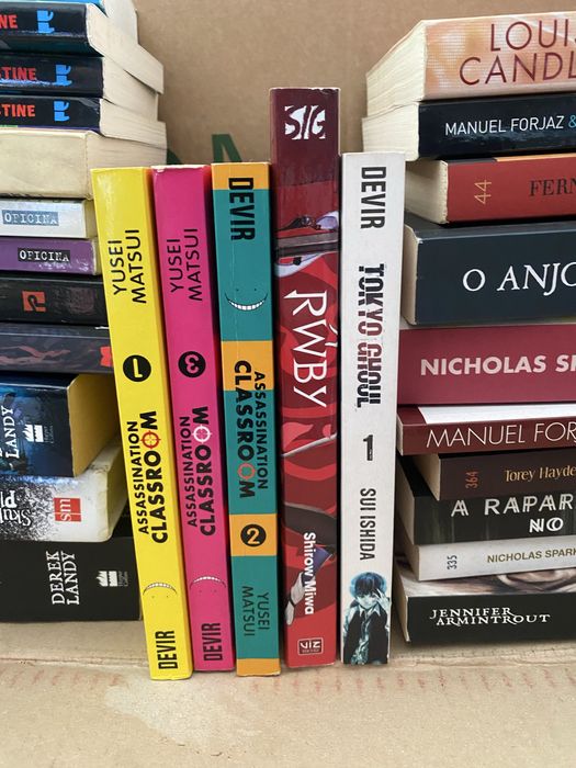 Lote de livros variados de género