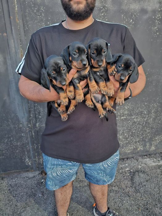 Продам малечу такси