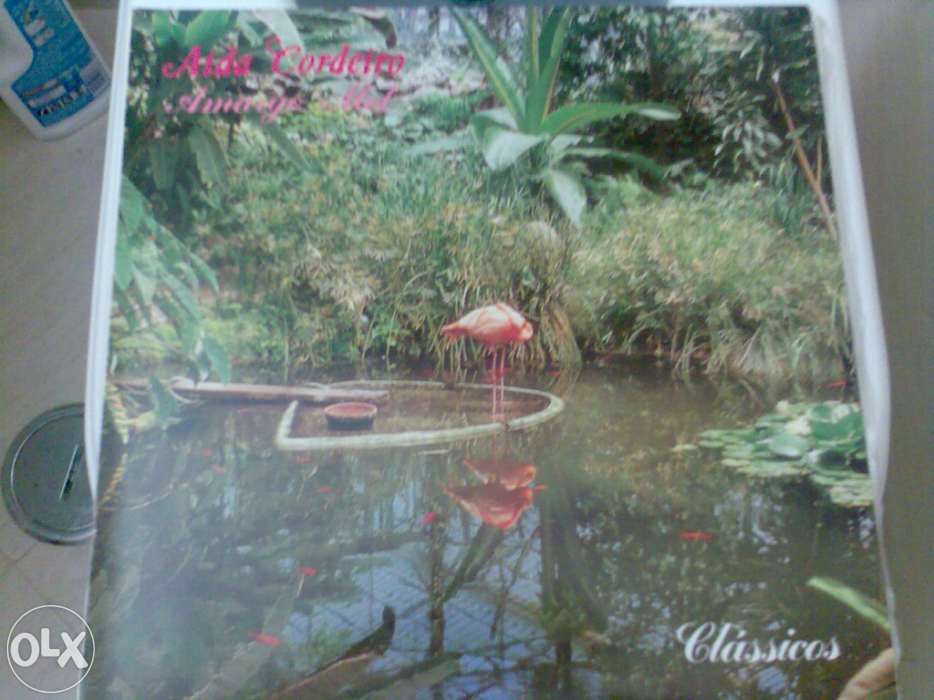 Discos de vinil diversos
