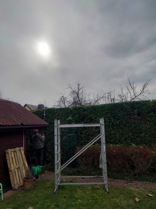 Cięcie żywopłotu czyszczenie ogrodu z usługą wywozu