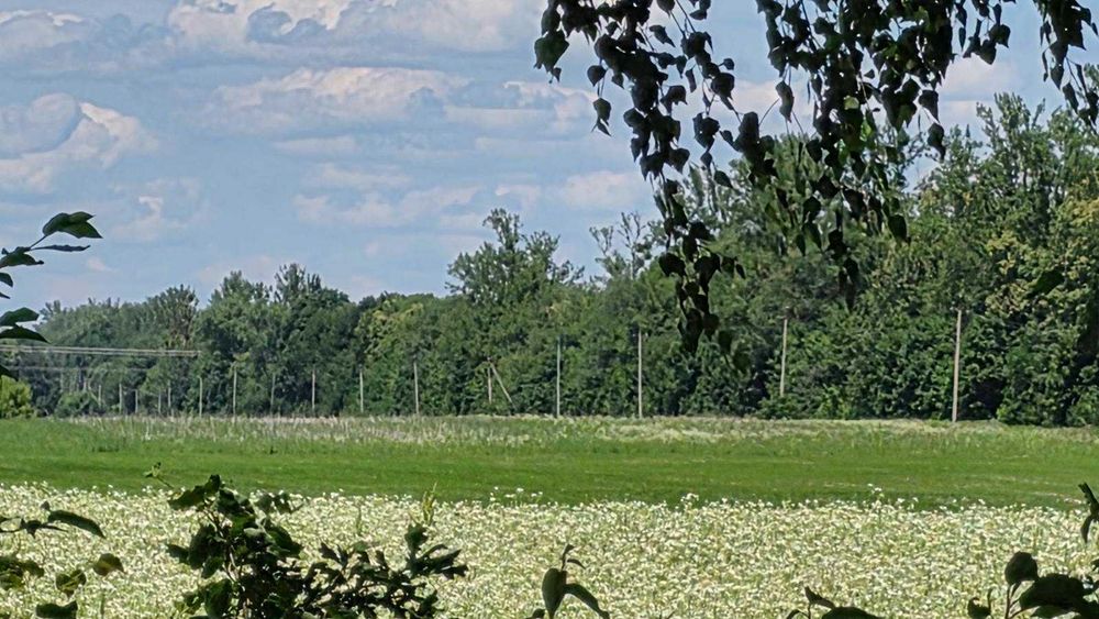 Продаж земельної ділянки в Горбанівці