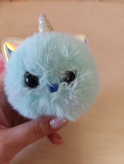 Кошеня-єдинороги