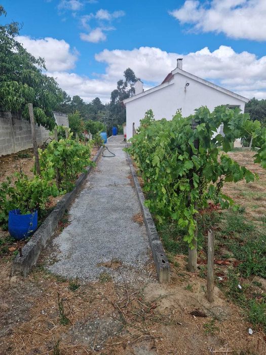 linda quintinha em pontevel