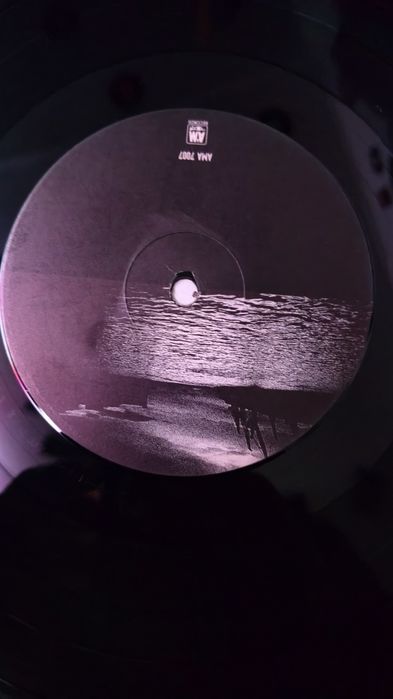 Gun Taking on the world 
Capa e disco muito bom estado 
30€
Led Zeppel