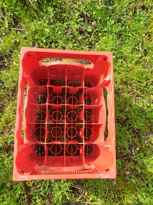 Grades vazia cerveja Erdinger. Monchshof. Augustiner........