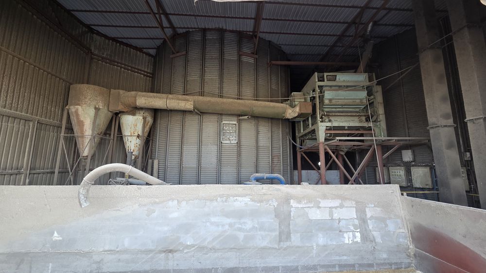 Czyszczarka  petkus 25t/h