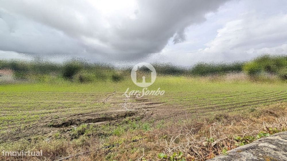 Land for Sale in Junqueira