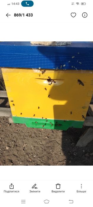 Продам Бджолосім'ї Українська Степова у 2026році