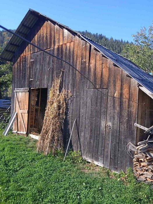 Стара дошка Вигорівша на сонці