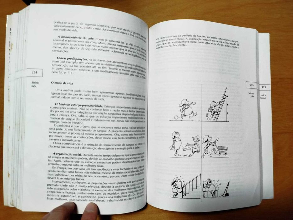 Livro Guia Prático da Gravidez - Professor Émile Papiernik