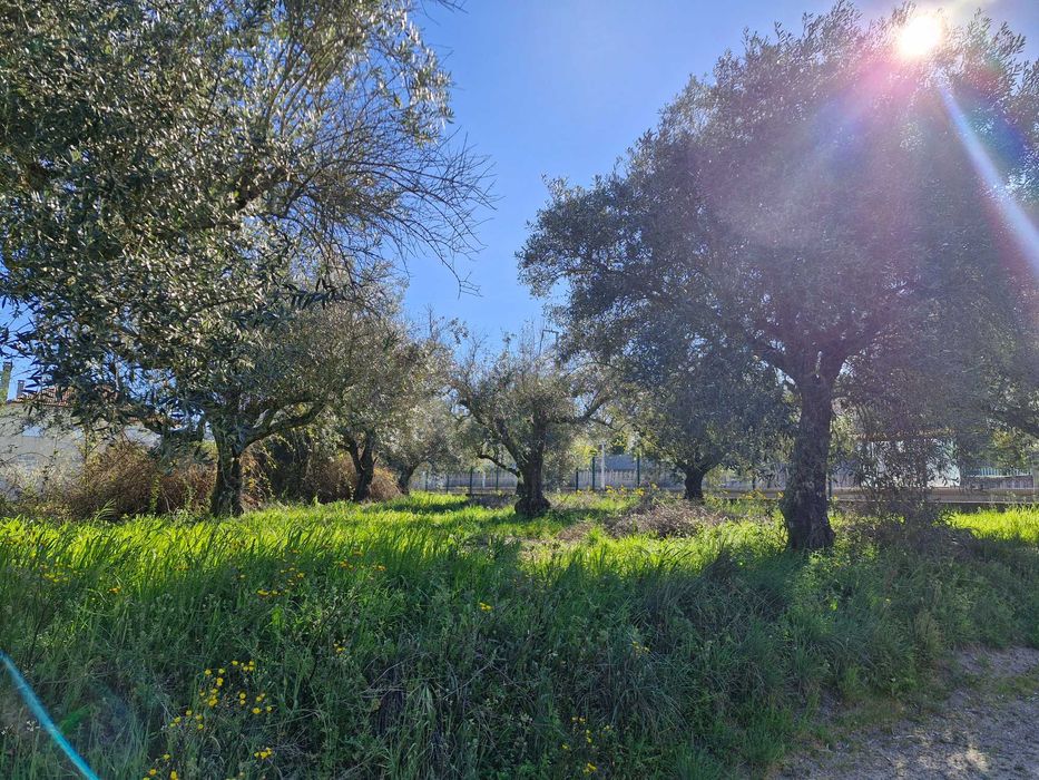 Terreno à venda em Alcaria