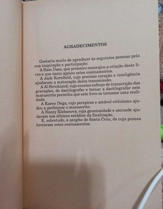 Livros de Stephen Levine