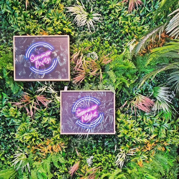 Jardim Vertical (vários modelos disponíveis)