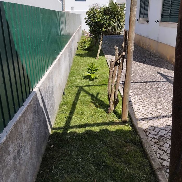 Jardinagem e afins