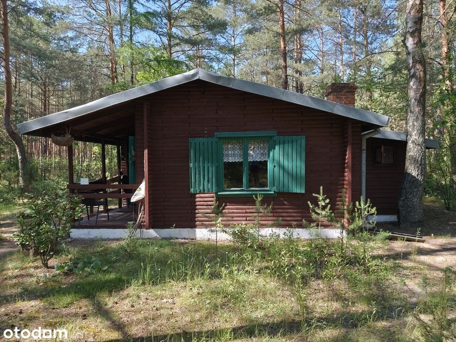 Piękna Działka leśna 958 m² z dostępem do mediów