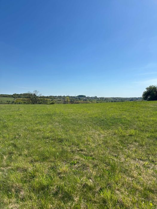 Działka 4294 m² z terenem budowlanym, Myszkowice - Widok 3