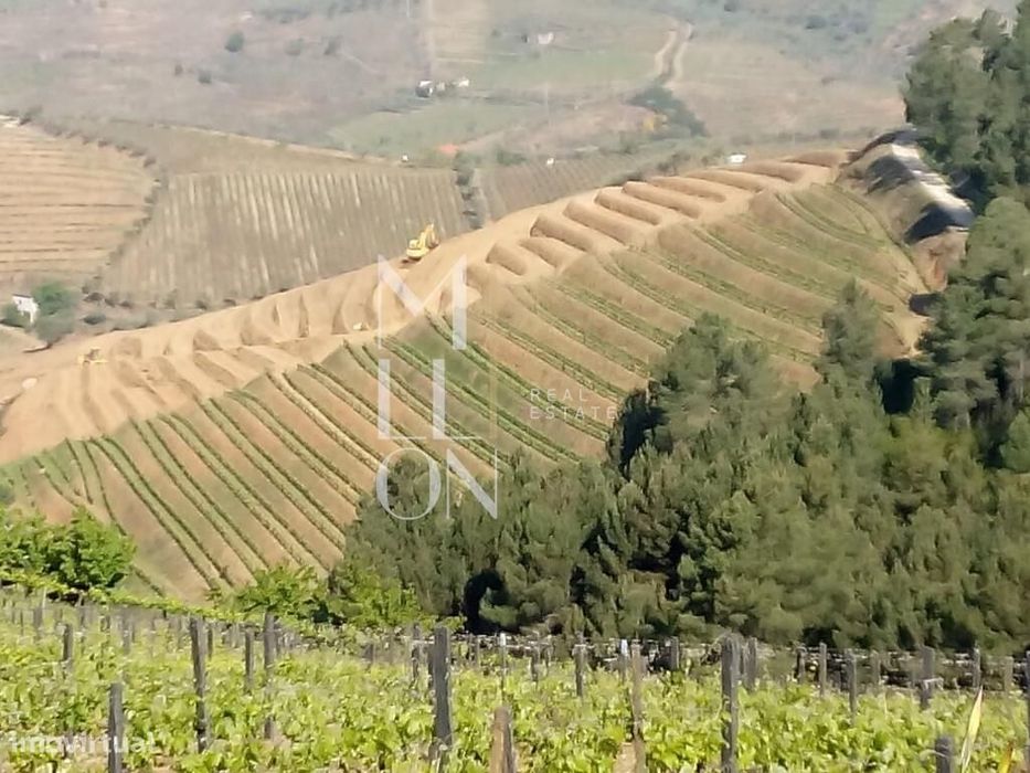 Encantadora Quinta com cerca de 3 Hectares de Tradição e Beleza Natura