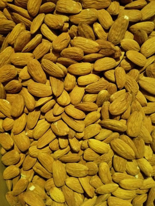 Miolo de amêndoa de 2025