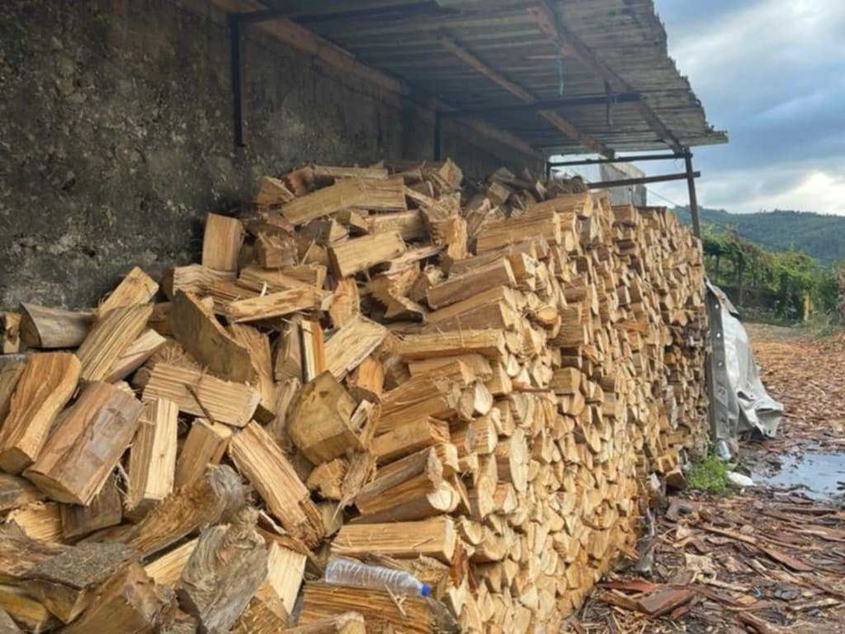 Vários tipos de lenha seca