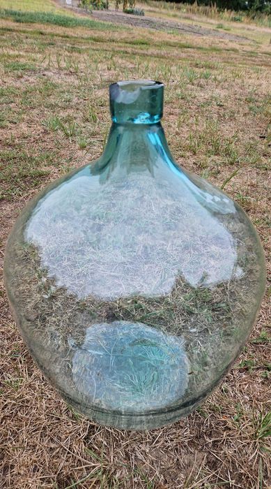 gąsior, bańka, balon na wino