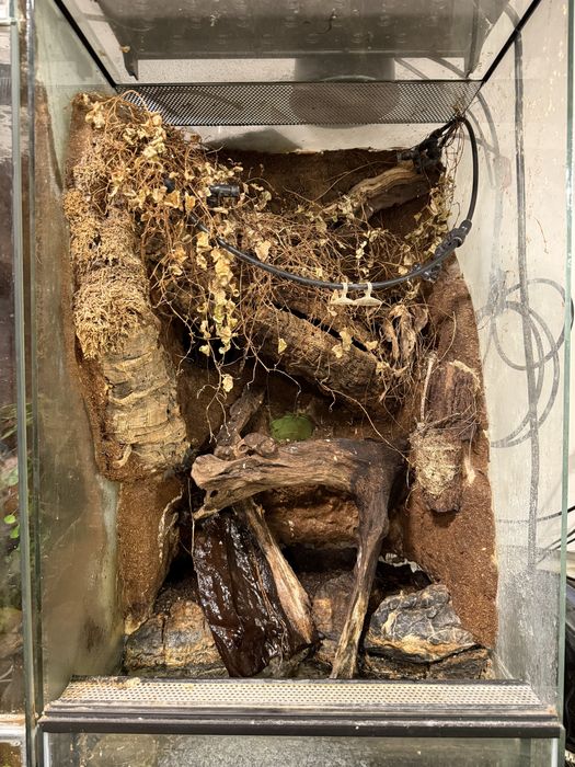 Terrarium 45x45x100 z wystrojem