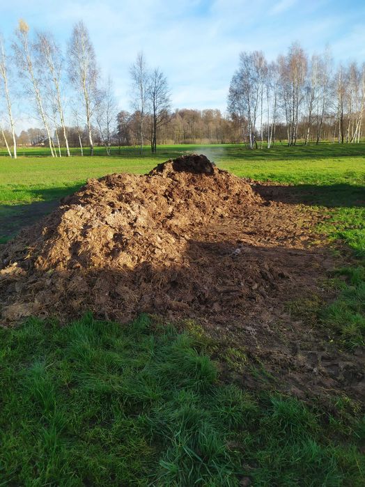 Kurzak /  bobek z taśmy / obornik bydlęcy z dowozem